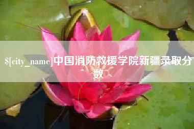 汉中中国消防救援学院新疆录取分数