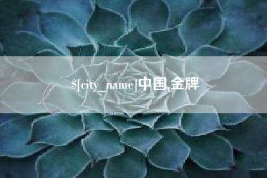 汉中中国,金牌