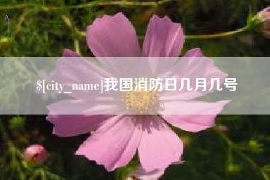 汉中我国消防日几月几号