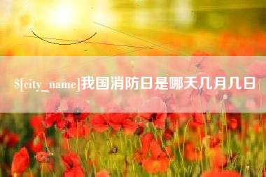 汉中我国消防日是哪天几月几日