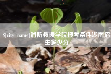 汉中消防救援学院报考条件湖南招生多少分