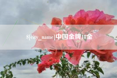 汉中中国金牌18金