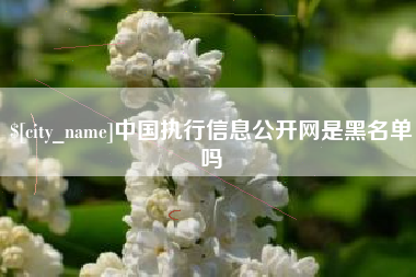 汉中中国执行信息公开网是黑名单吗