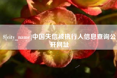 汉中中国失信被执行人信息查询公开网址
