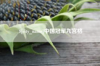 汉中中国冠军九宫格