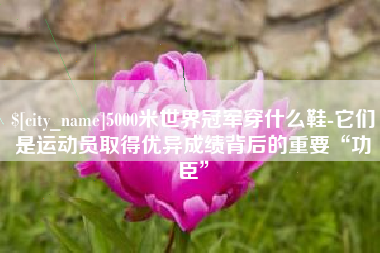 汉中5000米世界冠军穿什么鞋-它们是运动员取得优异成绩背后的重要“功臣”