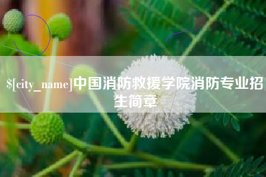 汉中中国消防救援学院消防专业招生简章