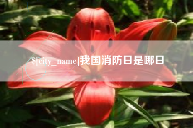 汉中我国消防日是哪日