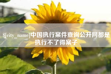 汉中中国执行案件查询公开网都是执行不了得案子