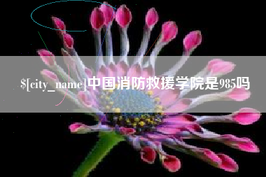 汉中中国消防救援学院是985吗