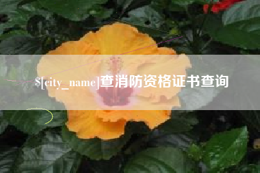 汉中查消防资格证书查询
