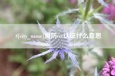 汉中消防ccc认证什么意思