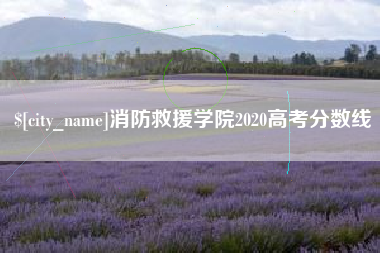 汉中消防救援学院2020高考分数线