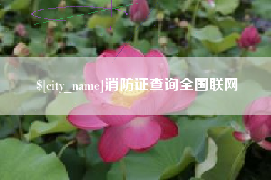 汉中消防证查询全国联网