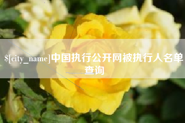 汉中中国执行公开网被执行人名单查询
