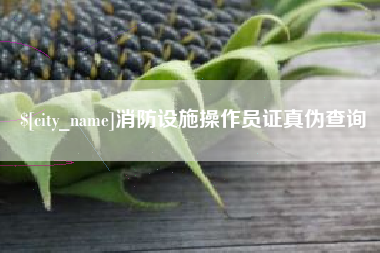 汉中消防设施操作员证真伪查询