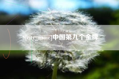 汉中中国第九个金牌