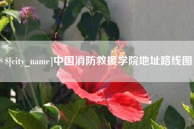 汉中中国消防救援学院地址路线图