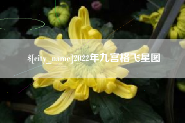 汉中2022年九宫格飞星图