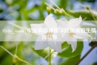 汉中中国消防救援学院湖南招生情况公布