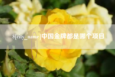 汉中中国金牌都是哪个项目