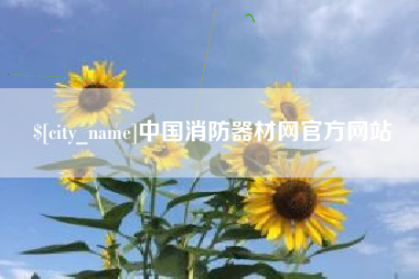 汉中中国消防器材网官方网站