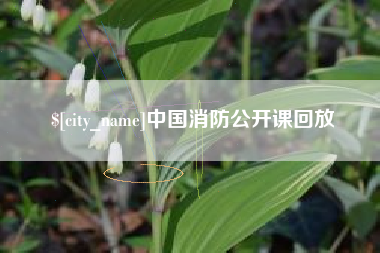 汉中中国消防公开课回放