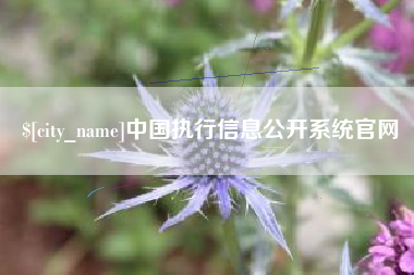 汉中中国执行信息公开系统官网