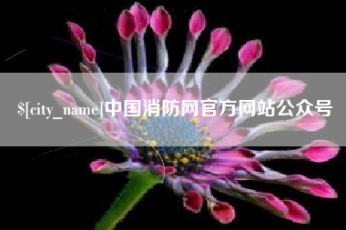 汉中中国消防网官方网站公众号