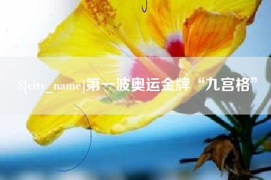 汉中第一波奥运金牌“九宫格”