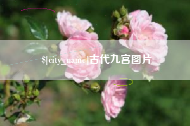 汉中古代九宫图片