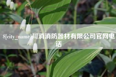 汉中川消消防器材有限公司官网电话
