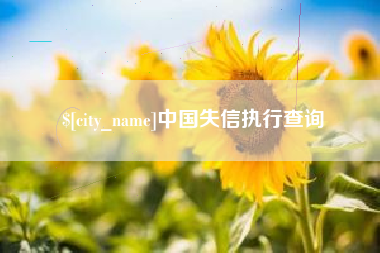 汉中中国失信执行查询