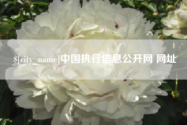 汉中中国执行信息公开网 网址