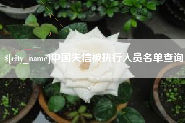 汉中中国失信被执行人员名单查询