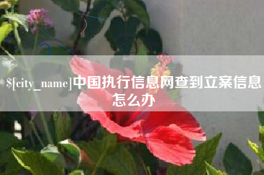 汉中中国执行信息网查到立案信息怎么办