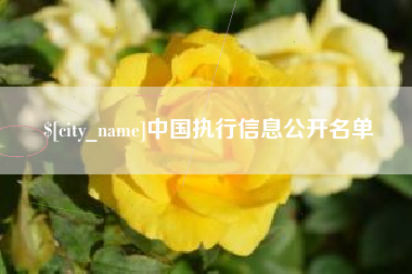汉中中国执行信息公开名单