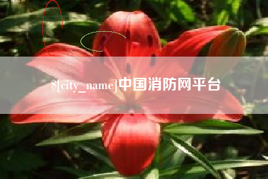 汉中中国消防网平台