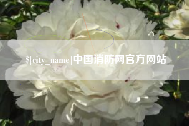 汉中中国消防网官方网站