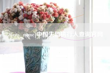 汉中中国失信执行人查询官网
