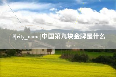 汉中中国第九块金牌是什么