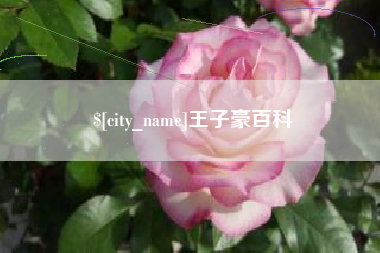 汉中王子豪百科