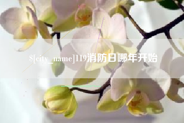 汉中119消防日哪年开始