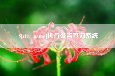 汉中执行公告查询系统