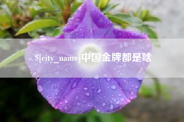 汉中中国金牌都是啥