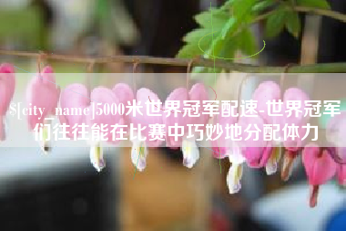 汉中5000米世界冠军配速-世界冠军们往往能在比赛中巧妙地分配体力
