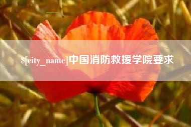 汉中中国消防救援学院要求