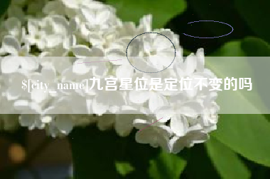 汉中九宫星位是定位不变的吗