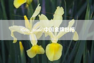 汉中中国金牌包括