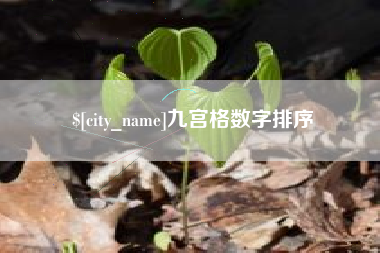 汉中九宫格数字排序
